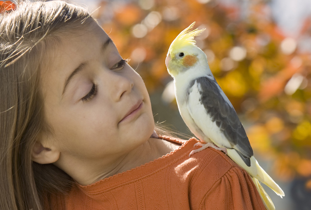 Bird and Small Animal Services